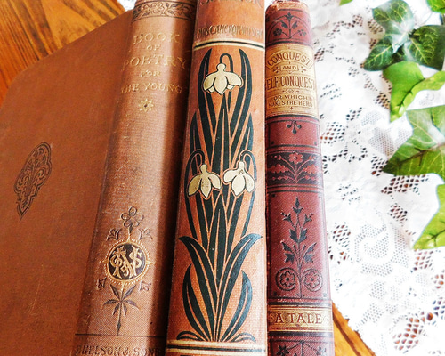 96cc78a0a0effc96f5a0ea59486598