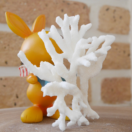 沖縄県宮古島産 天然 サンゴ SS 素材販売 インテリア エアープランツ