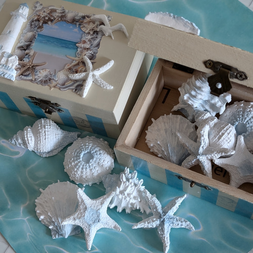 選べる香り!海の木箱アロマボックス✨大きめシェルのアロマストーン6点