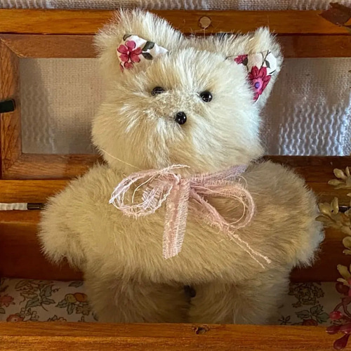 ハンドメイドぬいぐるみKiki薄緑色の猫ちゃん ☆アードドル 01