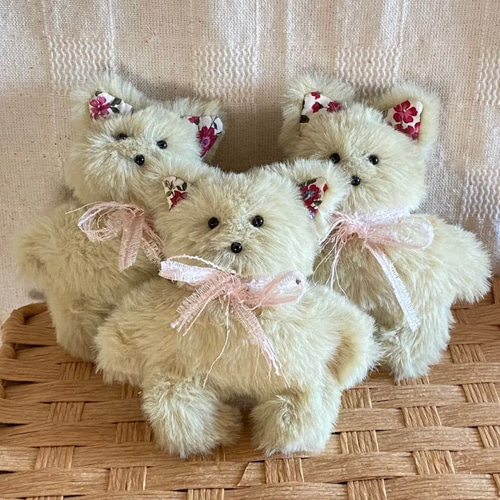 ハンドメイドぬいぐるみKiki薄緑色の猫ちゃん ☆アードドル 02