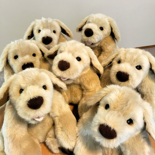 感動する抱き心地。命の重みを感じるぬいぐるみ・パトラン（ベージュ