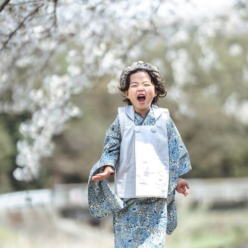 ブルーリバティ着物&リバーシブル被布set【Pheasant forest】七五三 3