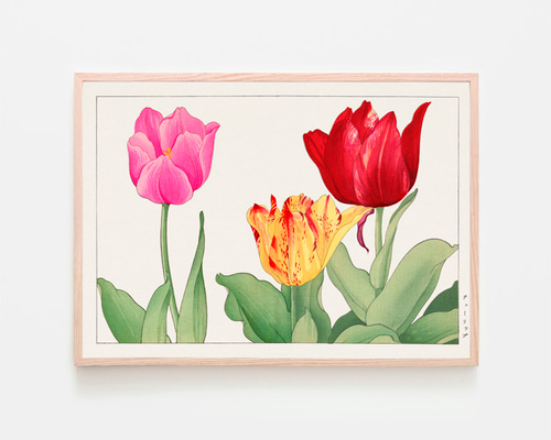 チューリップ / アートポスター 谷上廣南 横長 チューリップ 花