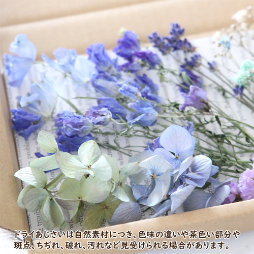 ドライフラワー 詰め合わせ 花材セット MIX （デルフィニウム