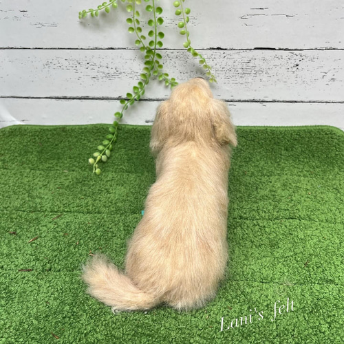 オーダー 犬 ダックス♡世界でたったひとつ 羊毛フェルト ぬいぐるみ