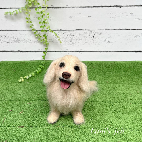 オーダー 犬 ダックス♡世界でたったひとつ 羊毛フェルト ぬいぐるみ