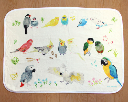 8f47fa1e17f2e331fad500a24f8672