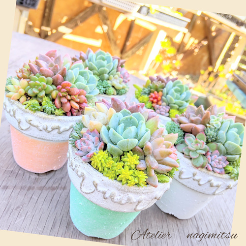 受注製作☆リメイク鉢SS(2号)5set 多肉植物 nagimitsu 通販 15462551