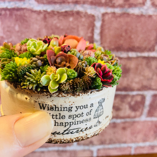 多肉植物寄せ植え そのまま飾れる ブーケ寄せ その他インテリア雑貨