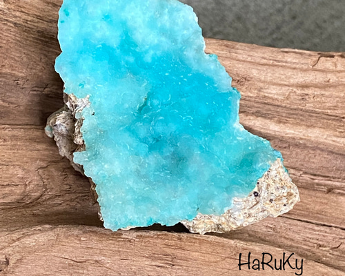 12e73adfa4d0c837273206d0ef1787