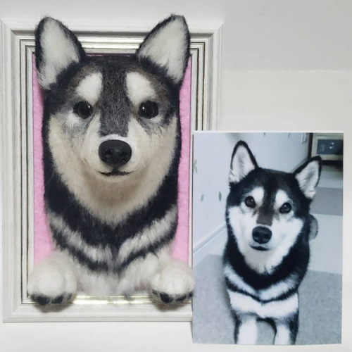 羊毛フェルト オーダー「リアルで可愛いワンちゃん(いろいろ)」額飾り