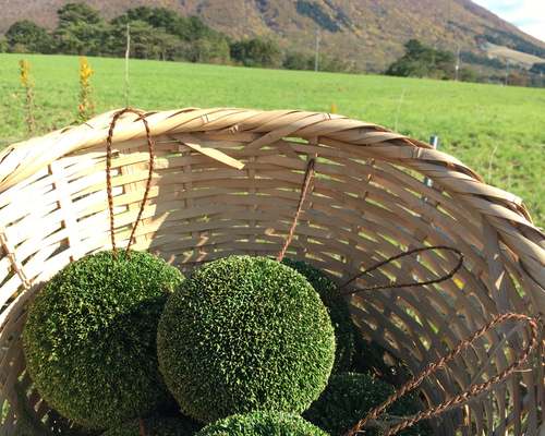 14269bfea66df17b06d60eeebd065e