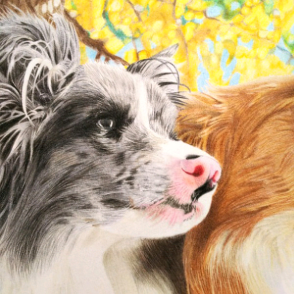 リアル色鉛筆画【原画】NO.5 犬の絵 絵画 鳳雛色鉛筆画家 通販