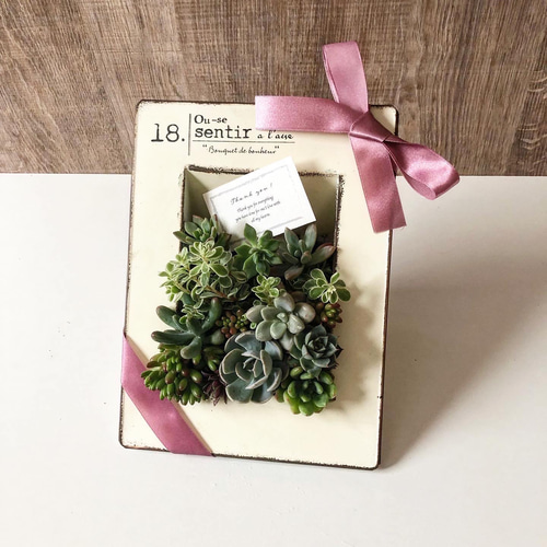 カードフレーム型ブリキ乗せる多肉植物寄せ植え 多肉植物 Green＋Lab