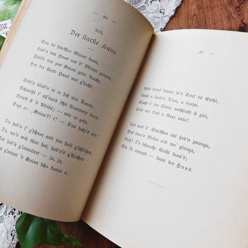 1895年 表紙が素敵なドイツの詩集 古書 ヴィンテージ本 アンティーク