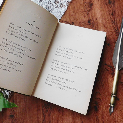 1895年 表紙が素敵なドイツの詩集 古書 ヴィンテージ本 アンティーク