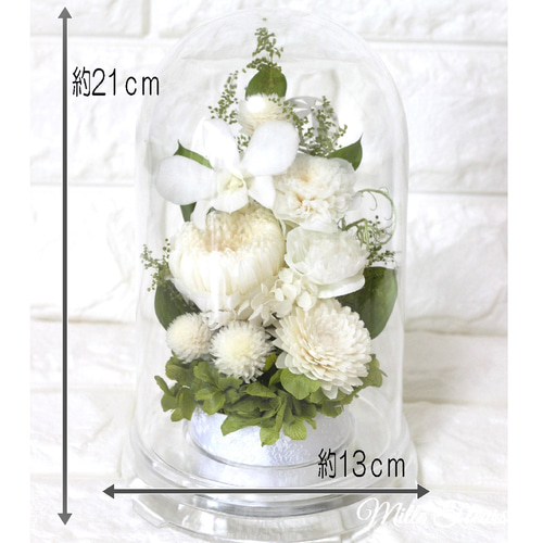 ホワイト仏花 白色 お供え 菊 四十九日 ドーム プリザーブドフラワー