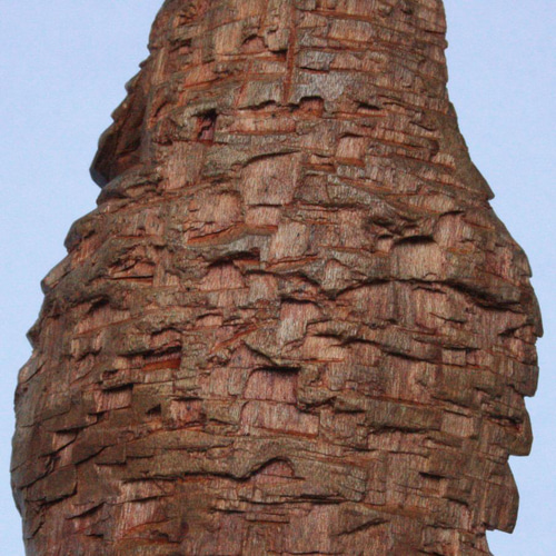 円空仏 オリジナル 善女龍王 台付属 円空彫り 彫刻 獅子舞 通販