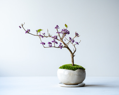 a7ba9358e35876f1571e7aef9b7c79