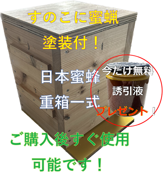 板厚33mm 日本蜜蜂 巣箱 重箱 待ち箱 ニホンミツバチ 木材・板 日本