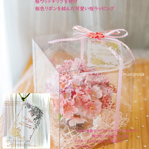 桜・桜色の灯り ～あかり桜 ～ 春を楽しむ・透明感＆花を楽しむ癒され