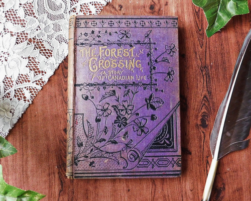 d6782bea9534a816501cd3a544ff29