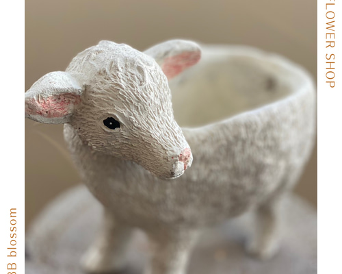 4020e0503b1e5c4e675db39b7951c0