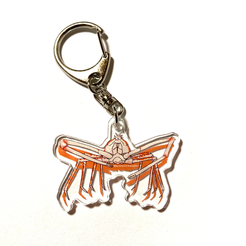 キーホルダー・アクリルキーホルダー angel39 アクリルキーホルダー｜エンジェルプリント