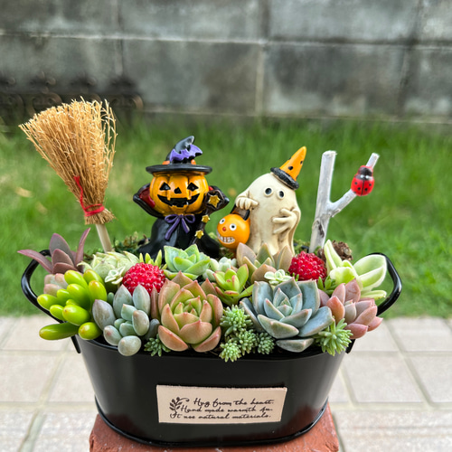 ☆送料無料☆そのまま飾れる♡ハロウィンの多肉植物寄せ植え