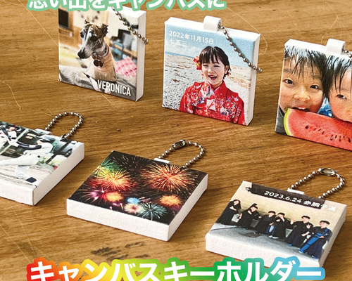 NEMOPHILA 缶バッジ キーホルダー ミニキャンバスボード 写真