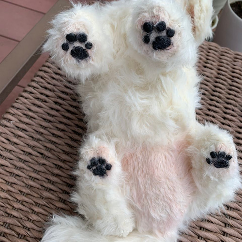 テディドッグ】オーダー マルチーズ ※モヘア生地はプラス価格です