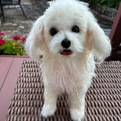 d8b34d9bcb74e87bef600212723d6c