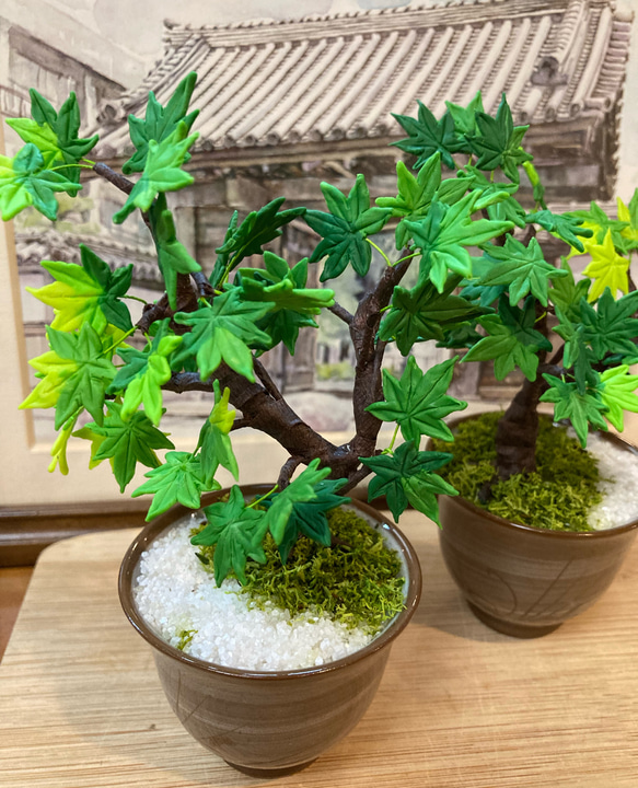 専用 柿の木の盆栽 樹脂粘土 専用 柿の木の盆栽 樹脂粘土