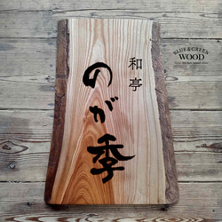 486e4bd73009a4ce6a82612618f979