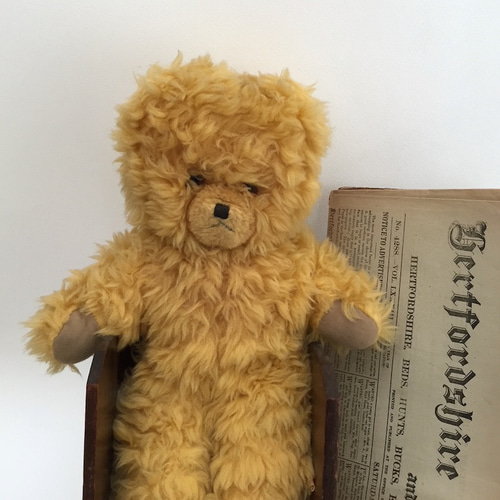 アンティークベア イギリス くまぬいぐるみ ベア 北欧暮らしの道具