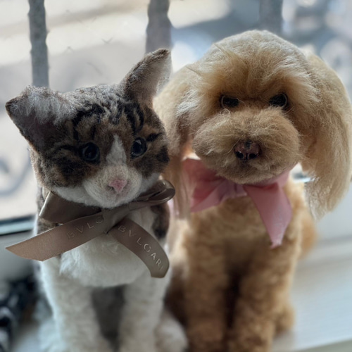 羊毛フェルト トイプードル 犬 オーダー トイプー うちの子 羊毛