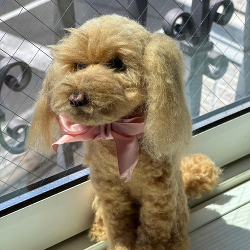 羊毛フェルト トイプードル 犬 オーダー トイプー うちの子 羊毛