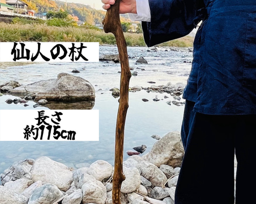 仙人の杖 その他インテリア雑貨 Natural工房 流木大陸 通販 16930581