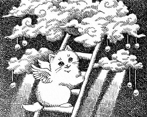 9e16de5d3fa8635c931aeb6d03f415