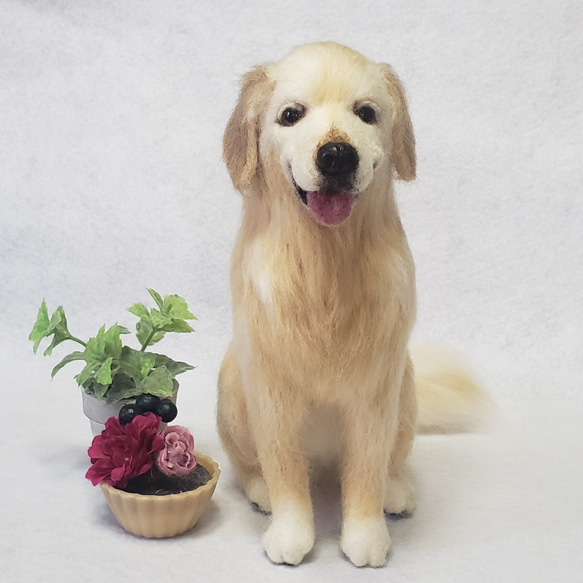 羊毛フェルト オーダー 「リアルで可愛いワンちゃんネコちゃん