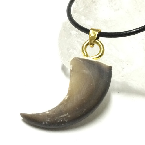 一点物＆魔.除けの御守り 熊の爪 ネックレス ④ ネックレス