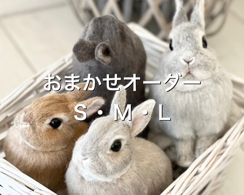 ab529e914b86f03010fcf4b1b0fe26