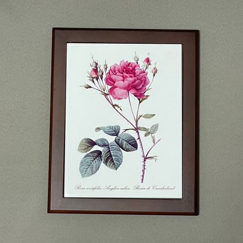 ルドゥーテ 植物画 ボタニカルアート バラ フォトタイル木製フレーム