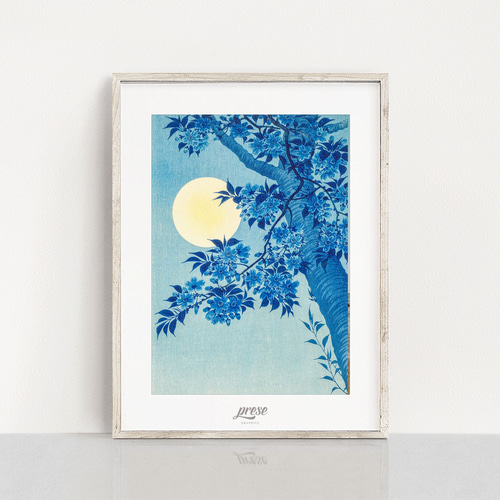 月夜に浮かぶ桜の優美 - 小原古邨作の静謐な世界 月夜の桜 e854 写真