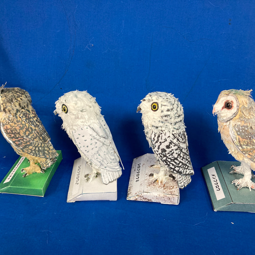 福耳セット ・フクロウ・ミミズク 4体セット 立体・オブジェ