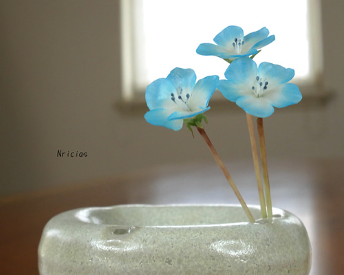 6e6fd006019e8a096c8eeb06a5a0f2