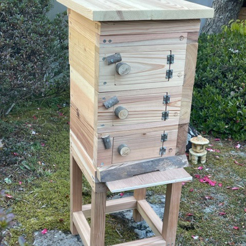 日本みつばち用 飼育箱 点検しやすい 重箱式巣箱 観察窓3窓付 杉材 桜