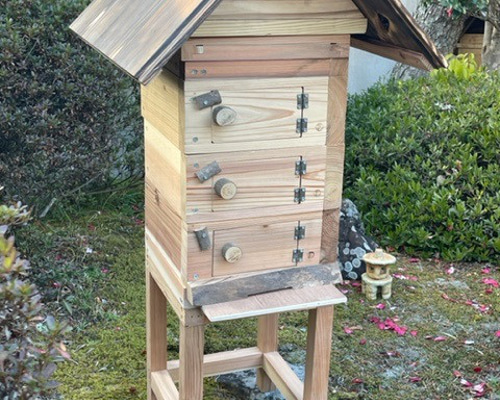 日本みつばち用 飼育箱 点検しやすい 重箱式巣箱 観察窓3窓付 杉材 桜