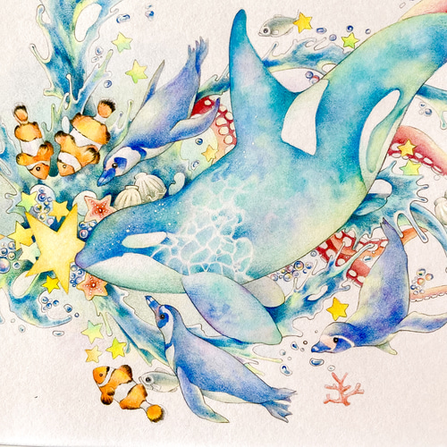 シャチと海の生き物 原画一点ものイラスト A5サイズ イラスト falso